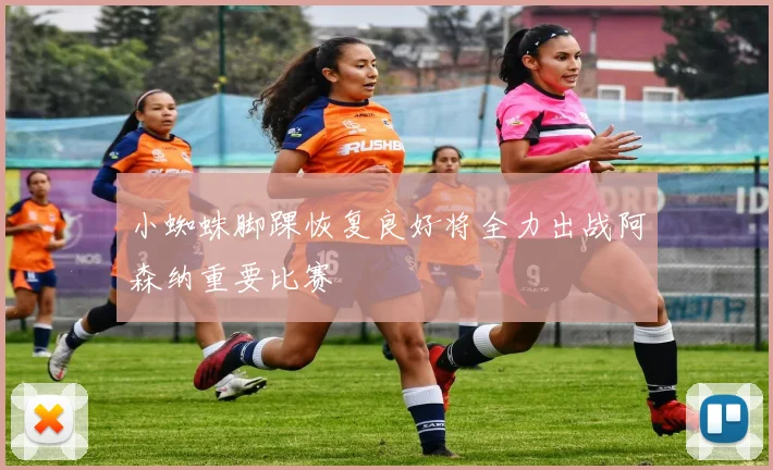 小蜘蛛脚踝恢复良好将全力出战阿森纳重要比赛