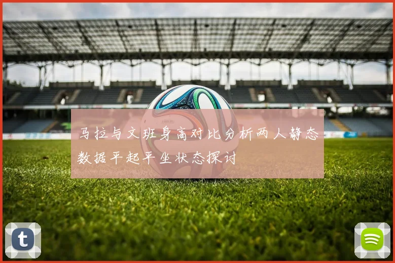 马拉与文班身高对比分析两人静态数据平起平坐状态探讨