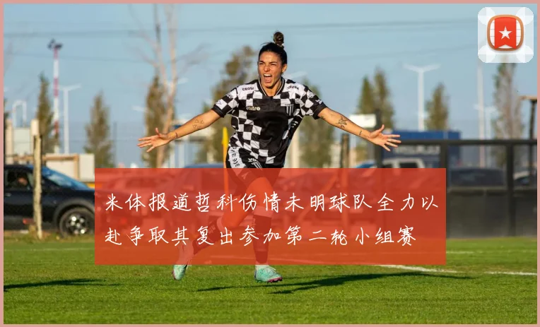 米体报道哲科伤情未明球队全力以赴争取其复出参加第二轮小组赛